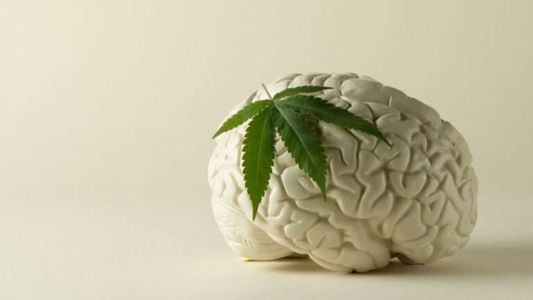 Read more about the article Marijuana Compound Has ‘Anti-Aging Effect On The Brain,’ Study Of Mice Dosed With THC Finds